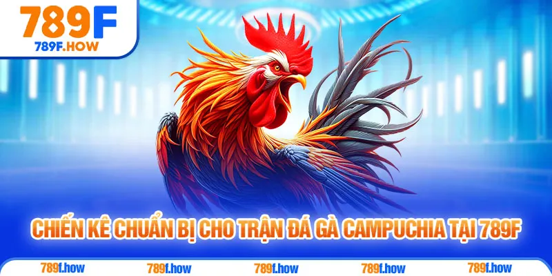 Chiến kê chuẩn bị cho trận đá gà Campuchia tại 789F