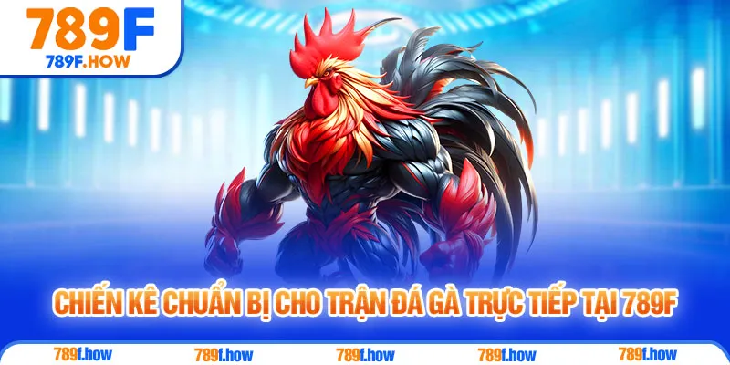 Chiến kê chuẩn bị cho trận đá gà trực tiếp tại 789F