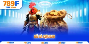 Đá gà cựa dao