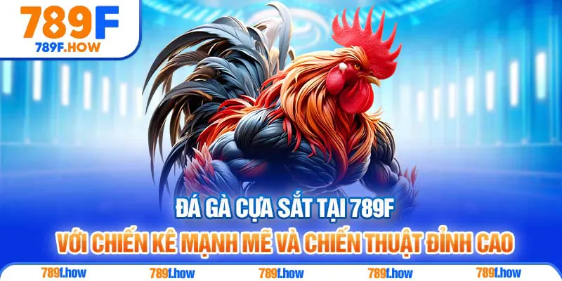 Đá Gà cựa sắt tại 789F với chiến kê mạnh mẽ và chiến thuật đỉnh cao