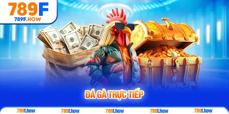Đá gà trực tiếp