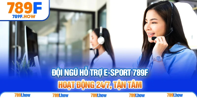 Đội ngũ hỗ trợ E-sport 789F hoạt động 24/7, tận tâm