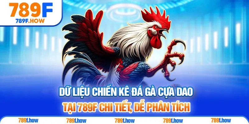 Dữ liệu chiến kê đá gà cựa dao tại 789F chi tiết, dễ phân tích