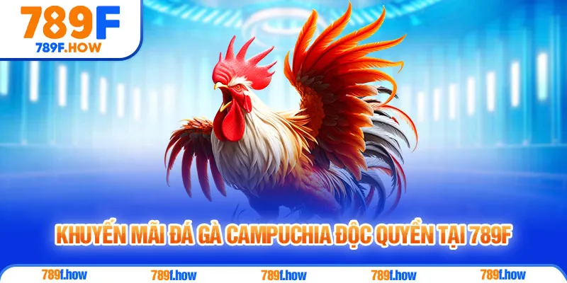 Khuyến mãi đá gà Campuchia độc quyền tại 789F