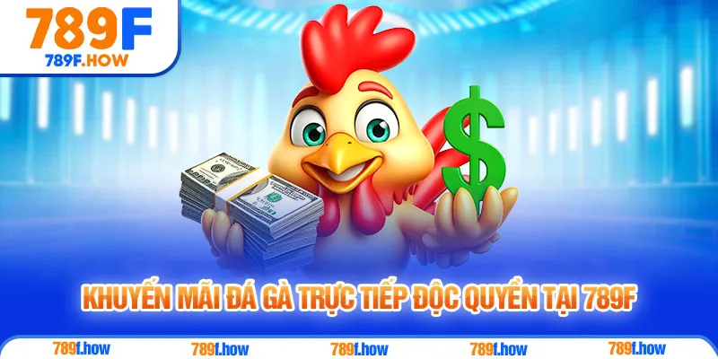 Khuyến mãi đá gà trực tiếp độc quyền tại 789F