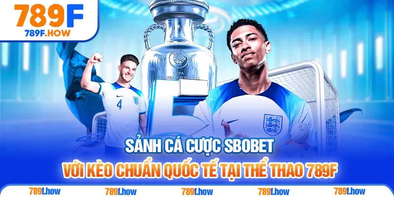 Sảnh cá cược SBOBET với kèo chuẩn quốc tế tại Thể Thao 789F